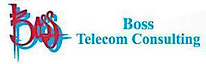 Boss Telecom Consulting's logo Boss Telecom Consulting's Company logo