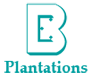 BPB's logo BPB's Company logo