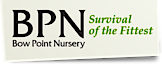 Bow Point Nursery's logo Bow Point Nursery's Company logo