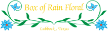 Boxofrainfloral's logo Boxofrainfloral's Company logo