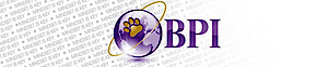 Bpi Security's logo Bpi Security's Company logo