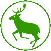 Forestrunners's logo Forestrunners's Company logo