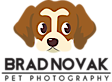 Bradnovak