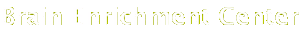 Brain Enrichment Center