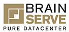 BrainServe's logo BrainServe's Company logo