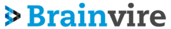 Brainvire's logo Brainvire's Company logo