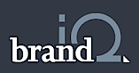 Brand Iq's logo Brand Iq's Company logo