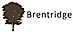 Appling Lakes Apts's Competitor - Brentridge logo