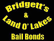 Bridgett's & Land O' Lakes Bail Bonds