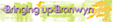 INTERNET BRANDS, INC.'s Competitor - Bringing Up Bronwyn logo