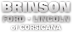 Brinson Ford Linc