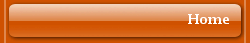 Briscmanagementgroup's logo Briscmanagementgroup's Company logo