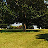 Brookland Cemetery