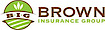 Akin Insurance's Competitor - Bigofga logo
