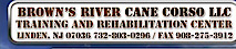 Brown's River Cane Corso's logo Brown's River Cane Corso's Company logo