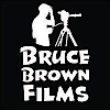 Bruce Brown Films's logo Bruce Brown Films's Company logo