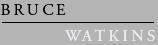 Bruce Watkins's logo Bruce Watkins's Company logo