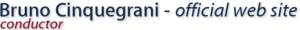 Bruno Cinquegrani's logo Bruno Cinquegrani's Company logo