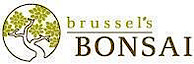 Brussell'S Bonsai Nursery's logo Brussell'S Bonsai Nursery's Company logo