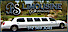 Houston Abituns Ventures's Competitor - Bs Limousine Services  -- Word Press logo
