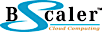 BScaler's company profile