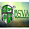 Bsva's company profile