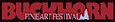 Buckhorn Fine Art Festival