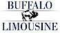 Liberty Cab & Dispatch Svc's Competitor - Buffalolimousine logo