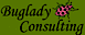 Buglady Consulting