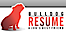 A Vita Group's Competitor - Bulldog Resume logo