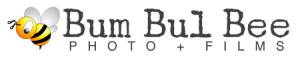 Bum Bul Bee's logo Bum Bul Bee's Company logo