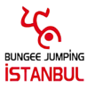 Bungee Jumping's logo Bungee Jumping's Company logo