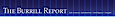 Gstars's Competitor - Burrillreport logo