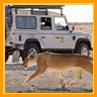 Bushlore Africa