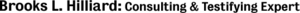 Computerexpertwitness
