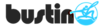 Bustin Boards's company profile