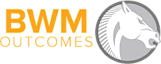 BWM Outcomes, LLC
