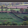 C. Illsley Photography's logo C. Illsley Photography's Company logo