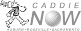 Caddie Now's logo Caddie Now's Company logo
