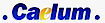 Caelum Research's company profile