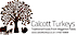 Calcott Turkeys