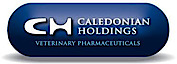 Caledonian Holdings
