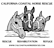 California Coastal Horse Rescue's company profile
