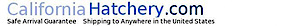 Californiahatchery's logo Californiahatchery's Company logo