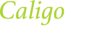 Caligo Technologies