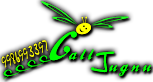 Call Jugnu's logo Call Jugnu's Company logo