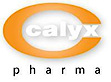 Calyx Chemicals and Pharmaceuticals Ltd.