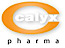 Calyx Chemicals and Pharmaceuticals Ltd.