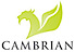 Cambrian Solutions Inc