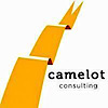 Camelot Consulting Group